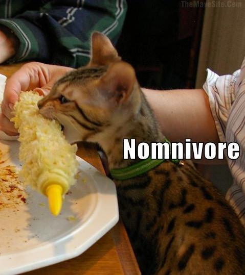 Nomnivore.jpg