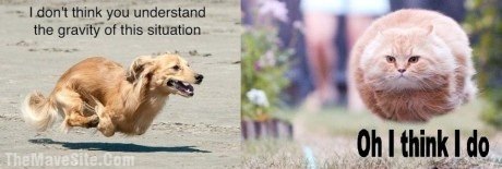 TheGravityOfThisSituation.jpg
