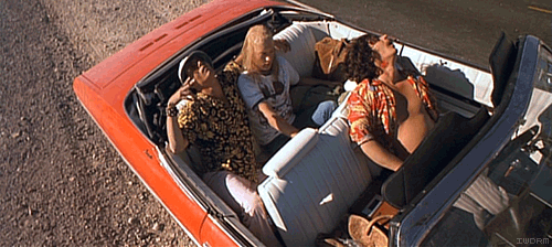 SW7MXNW.gif
