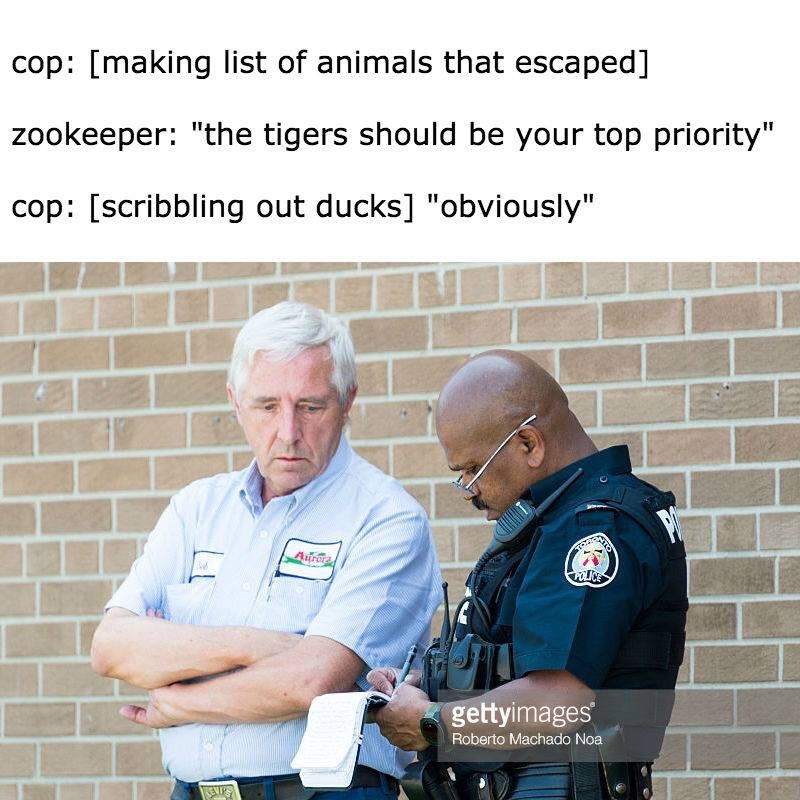 xjj8kVE.jpg