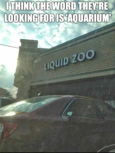 f7O1tmI.jpg