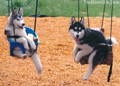JustHangingOutAtThePark.jpg