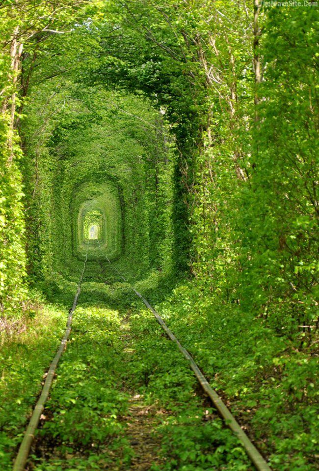 GreenTunnel.jpg