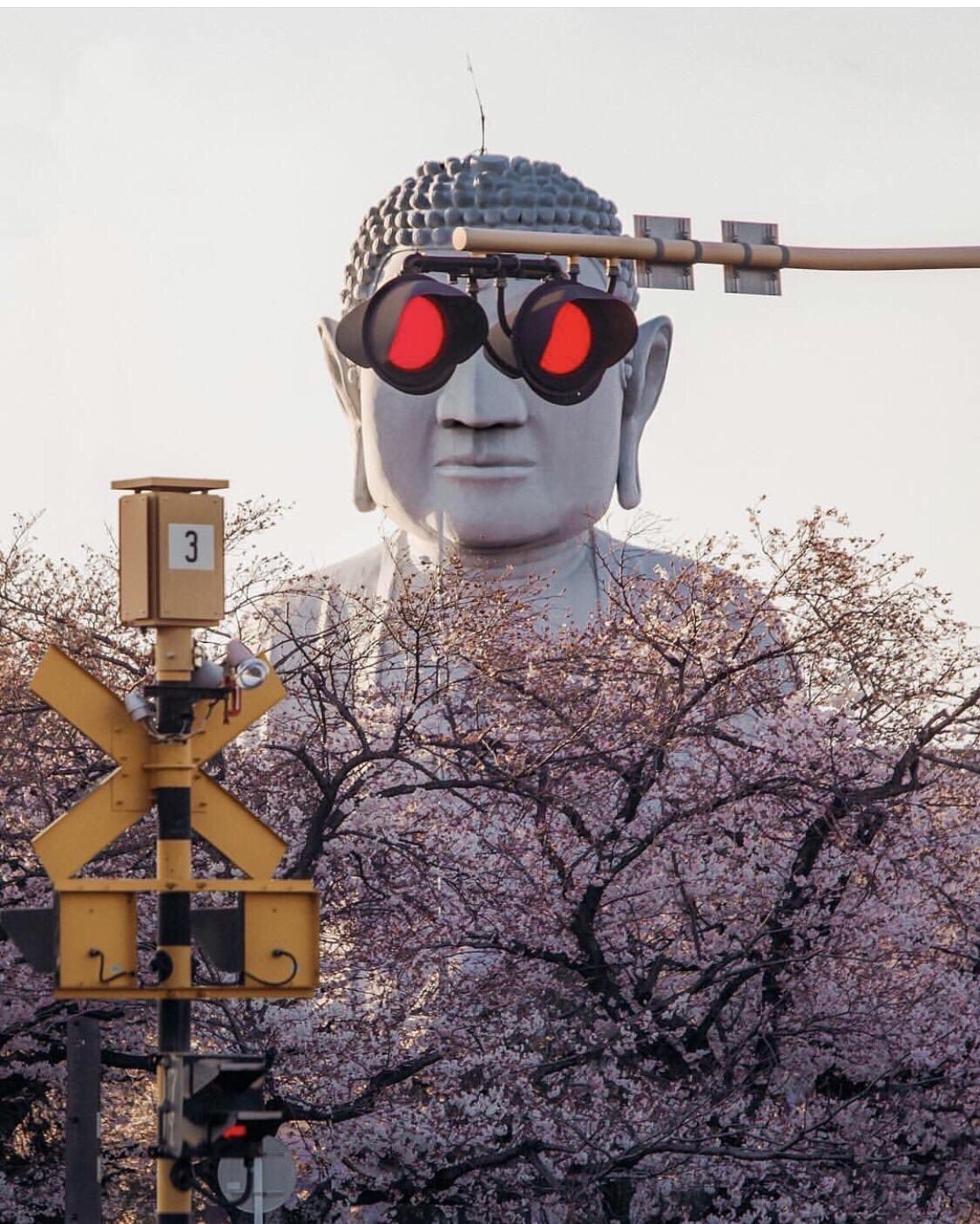 RLVLYzn.jpg