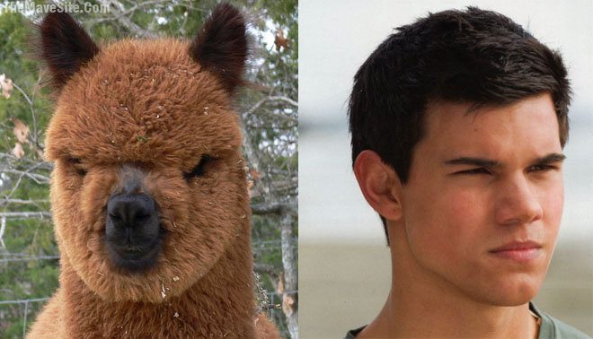 Twins.jpg