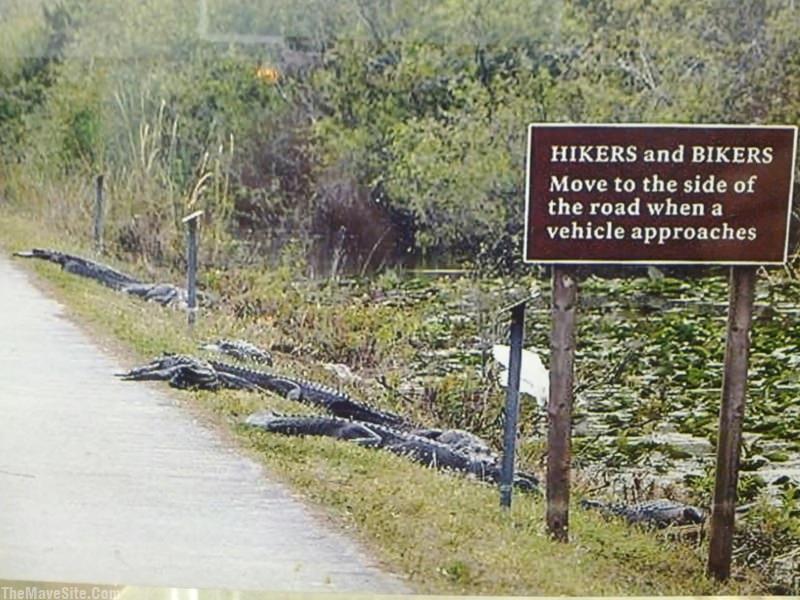 HikersAndBikers.jpg