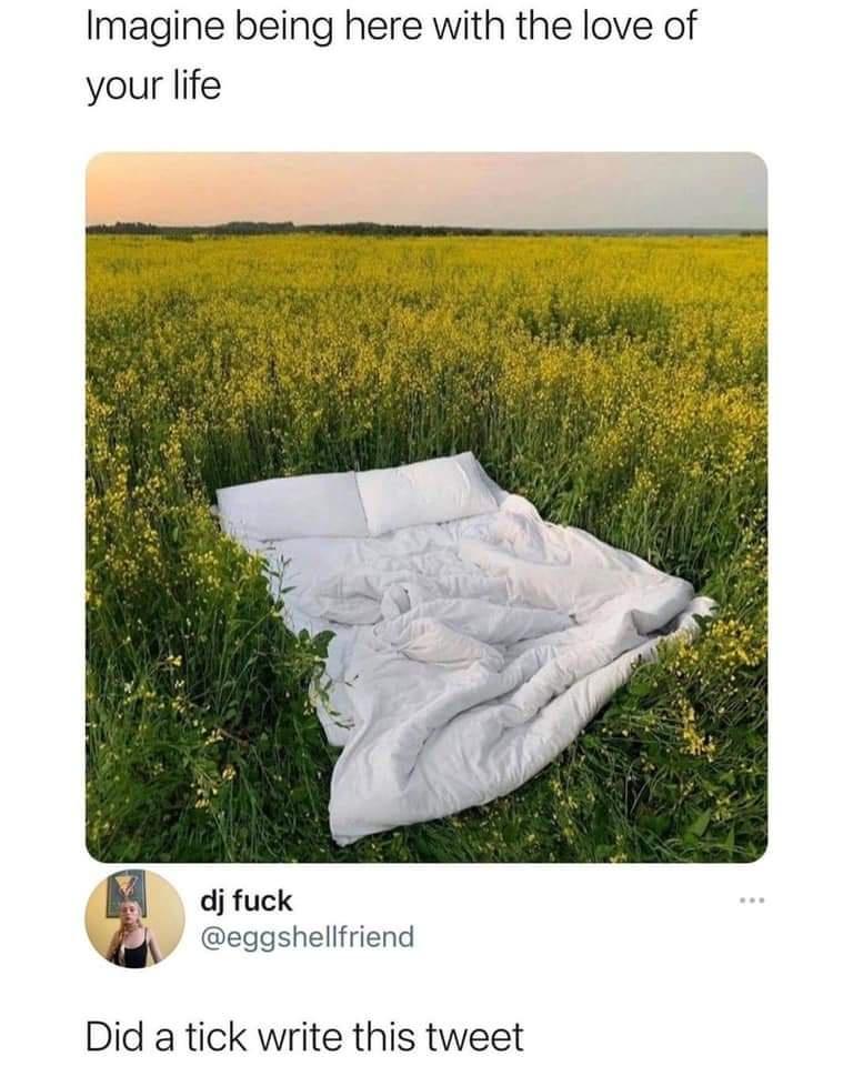 l9opMN1.jpeg