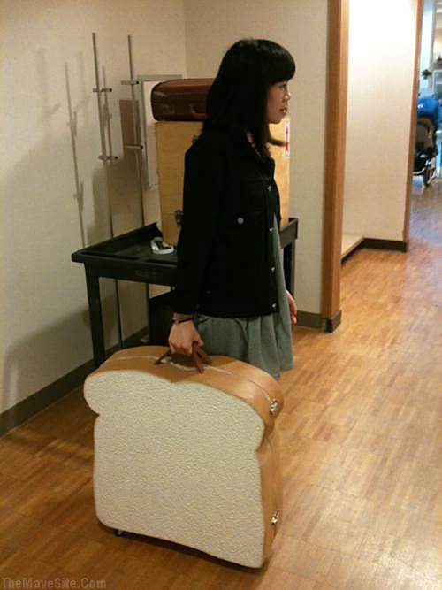 MustHaveSuitcase.jpg