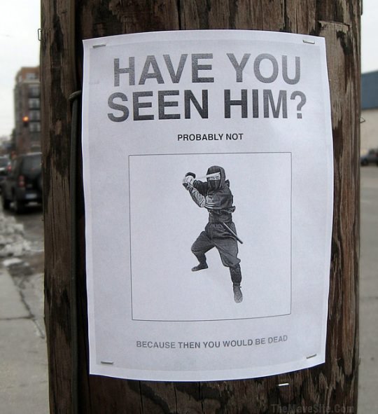 HaveYouSeenHim.jpg