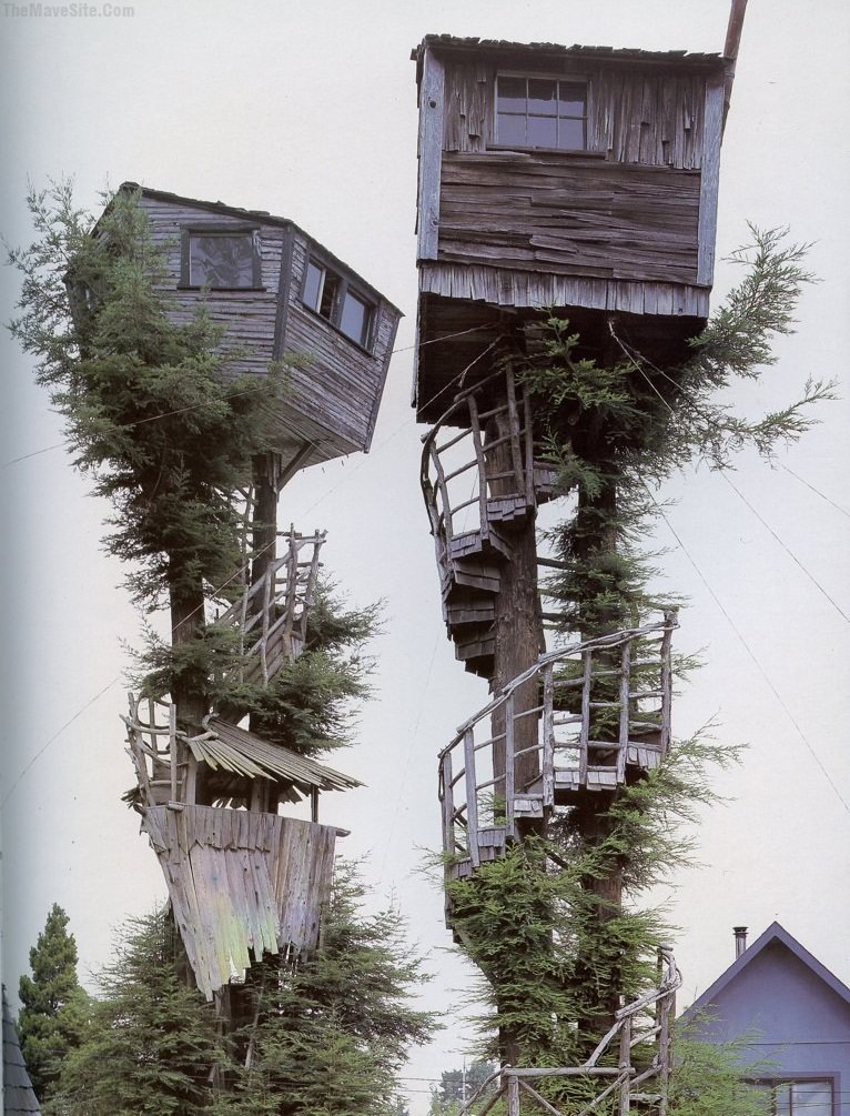 NowThisIsATreehouse.jpg