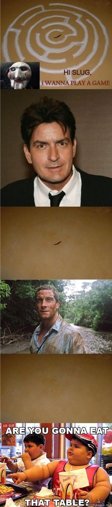 blpAl.jpg