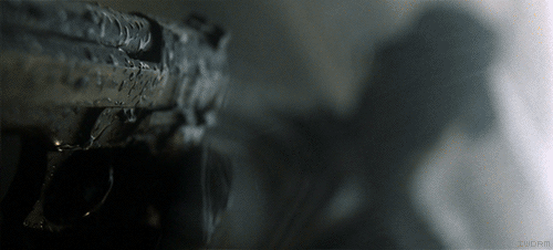 mIBQ9up.gif