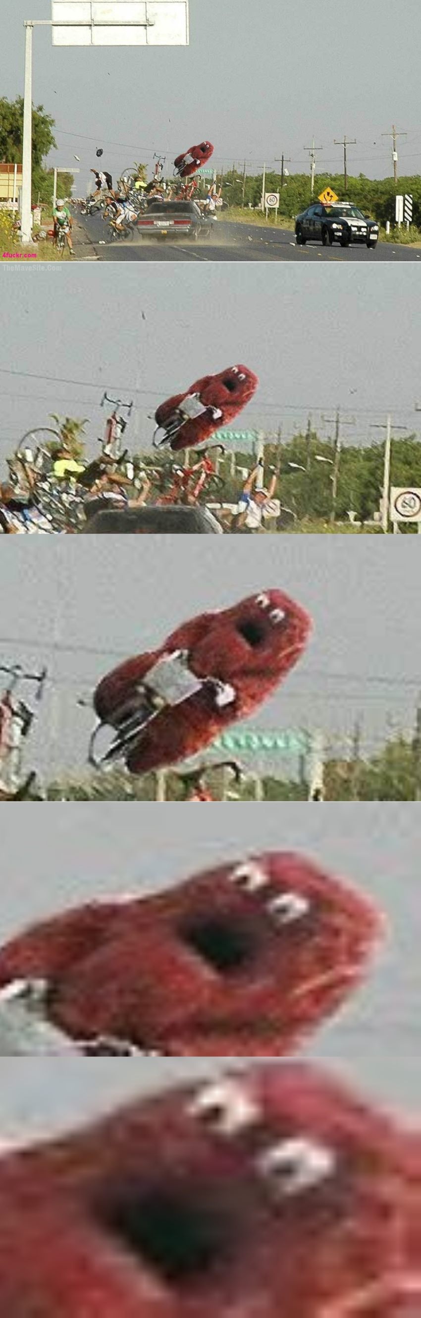 What..jpg