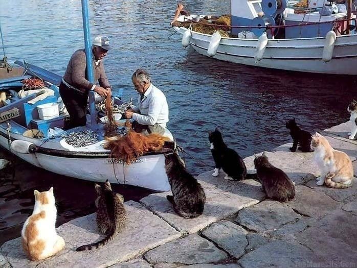 LunchTime.jpg