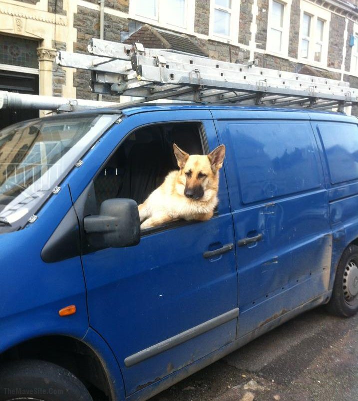 Hey,MoveThatOutTheRoad.CantYouSeeImDrivingHere.jpg