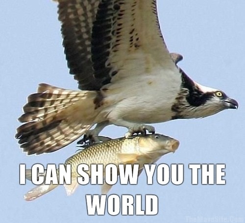 ICanShowYouTheWorld.jpg