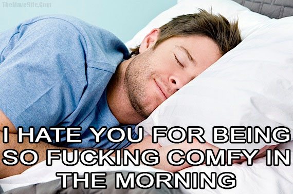 EveryonesBiggestLove-HateRelationship.jpg
