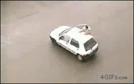 CHBSnyf.gif