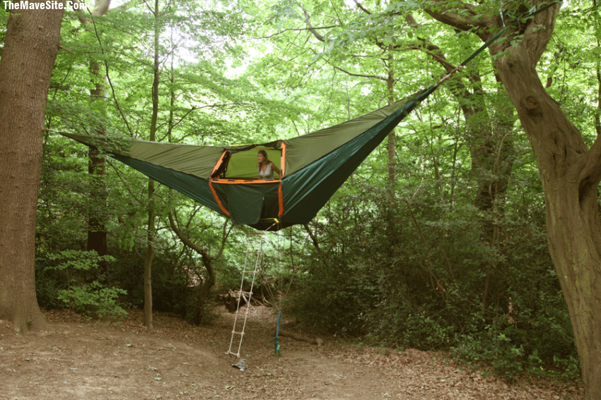 HammockTent.png