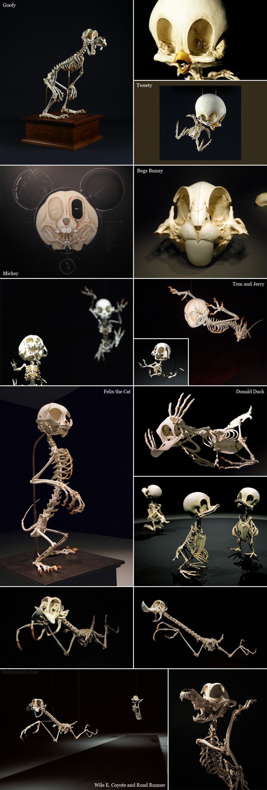 CartoonSkeletons.jpg