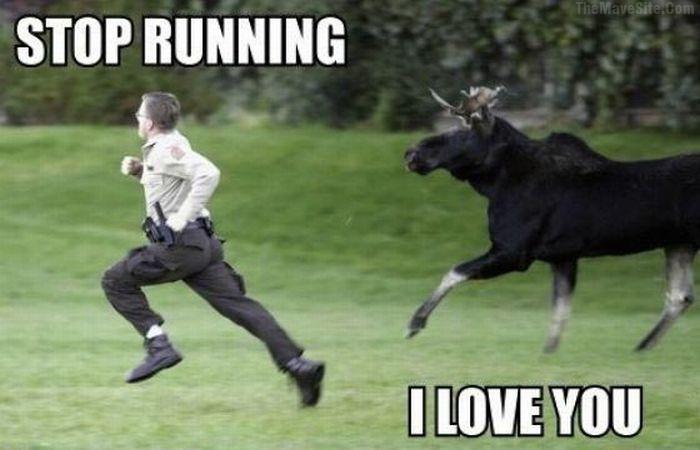 StopRunning.jpg