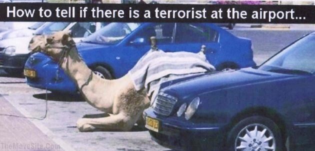 TerroristParking.jpg