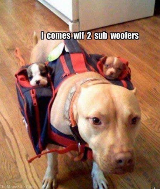 2Subwoofers.jpg