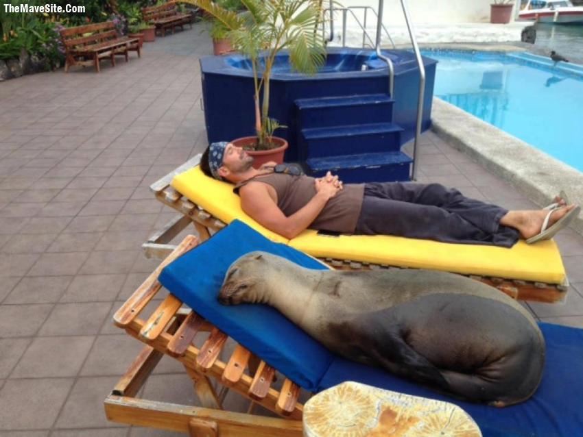 JustLayDownHereForAWhile.jpg