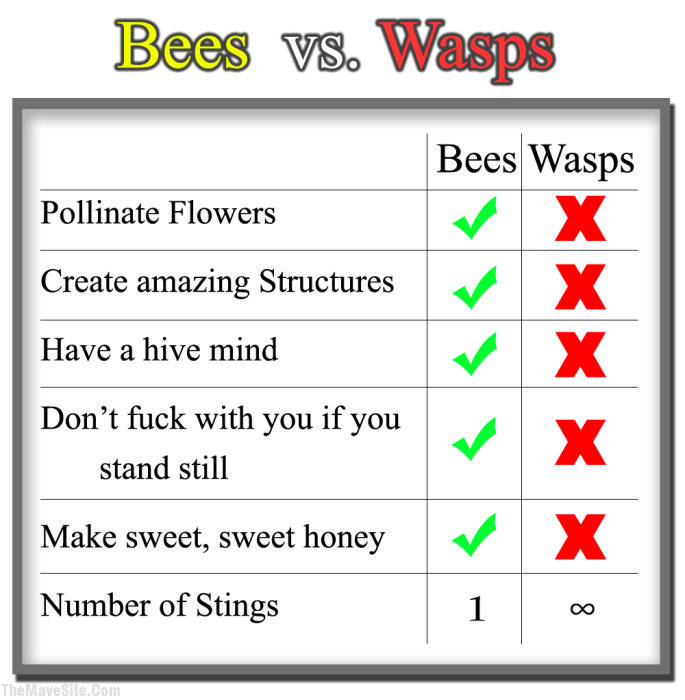 BeesVsWasps.png