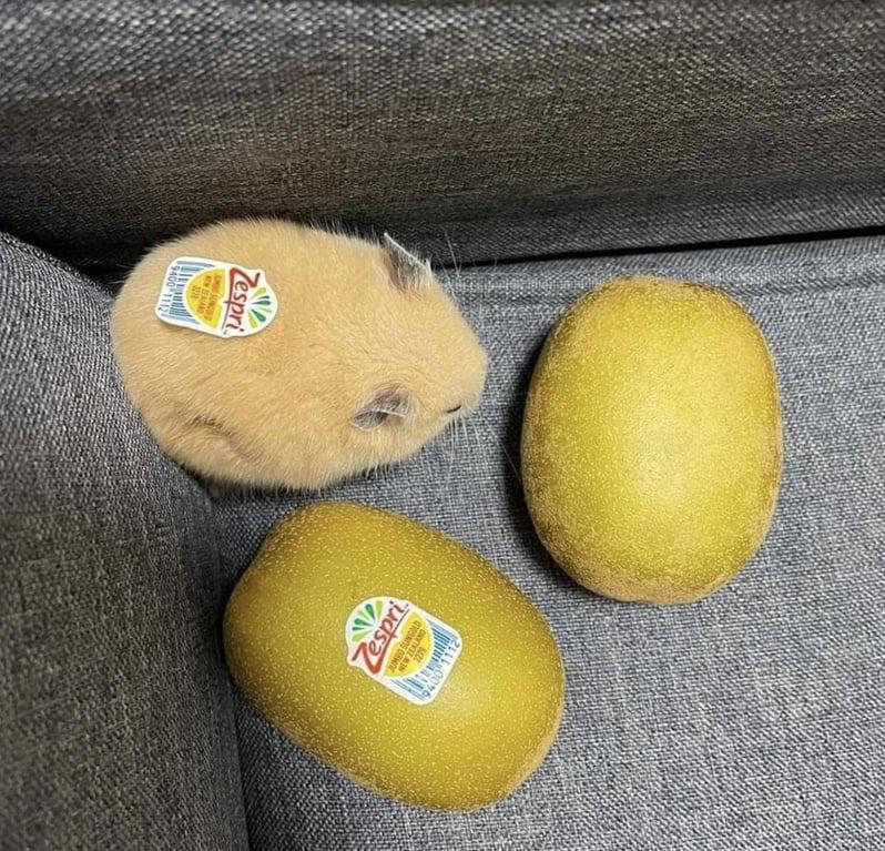 zcBIXkd.jpeg