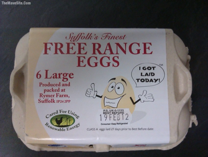 SillyEggs.jpg