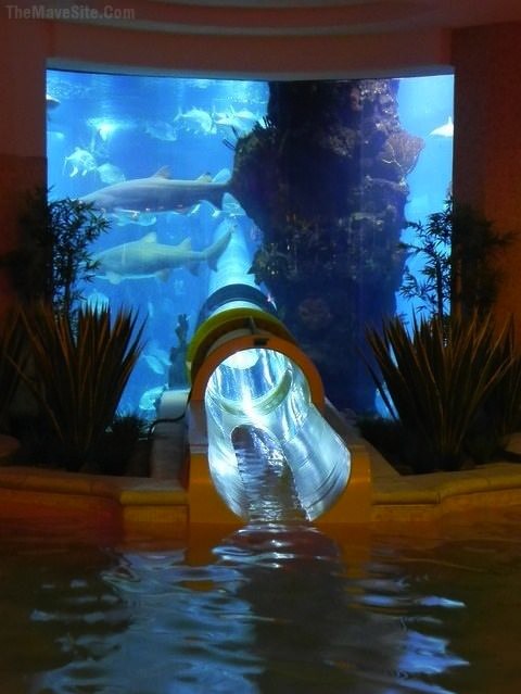 AquariumWaterslide.jpg