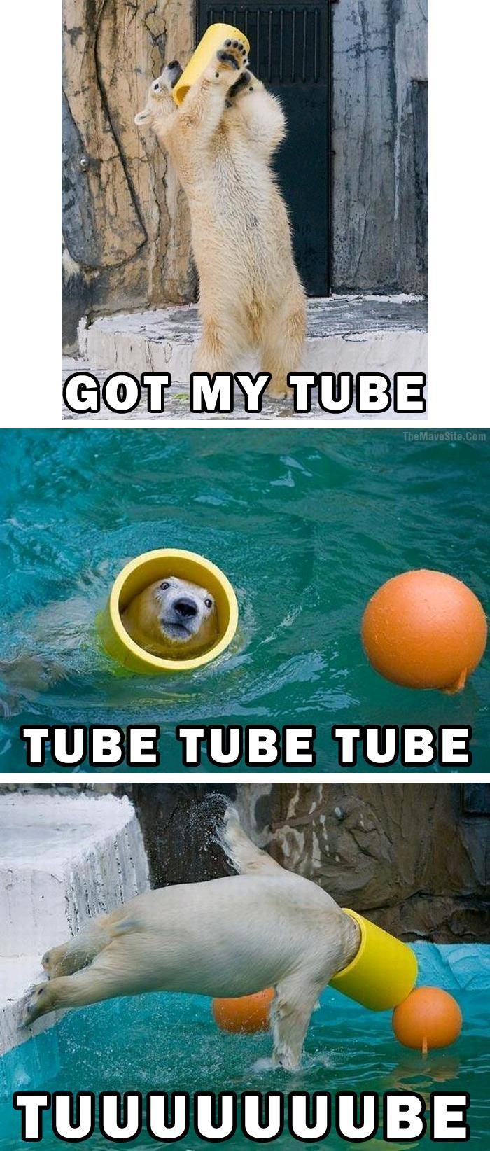 GotMyTube.jpg