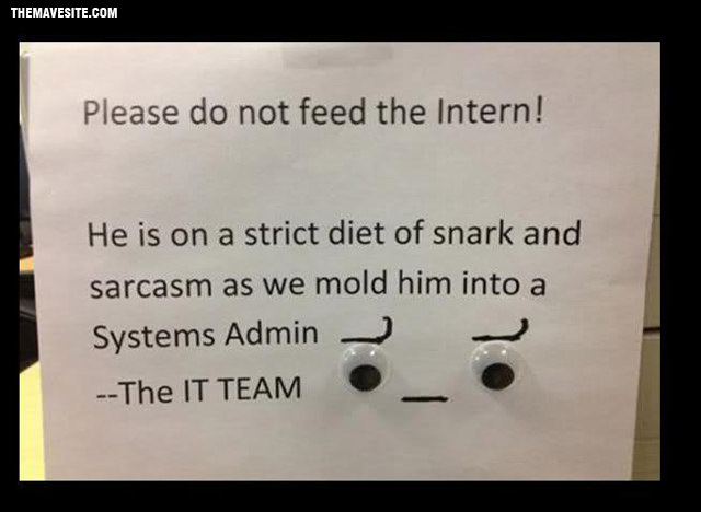 PleaseDoNotFeedTheIntern.jpg