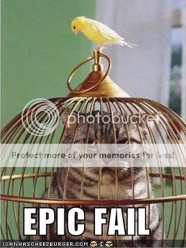 funny-pictures-bird-cat-cage.jpg