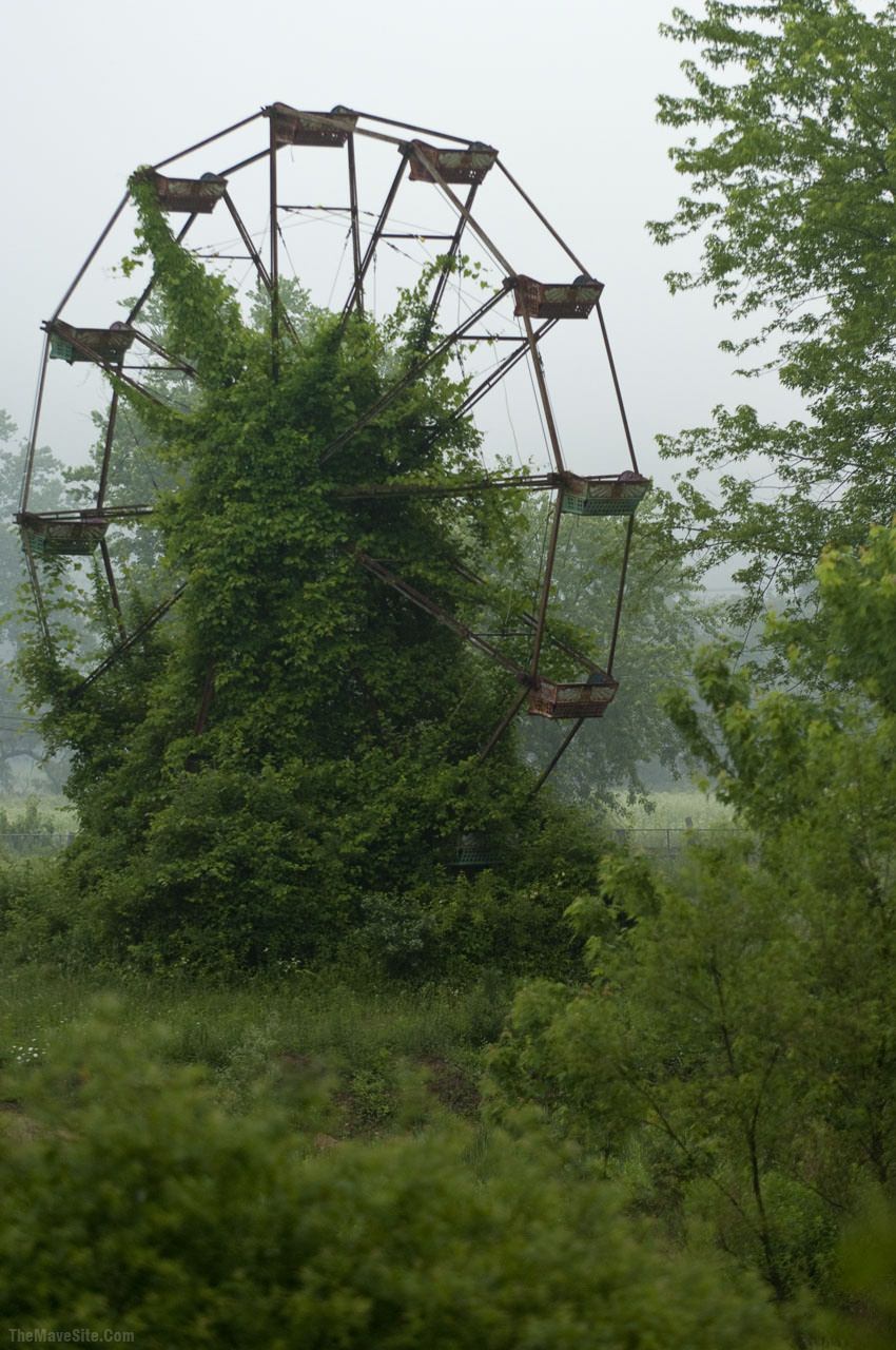 NatureWillAlwaysWinOutInTheEnd.jpg