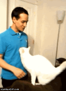 savtM02.gif
