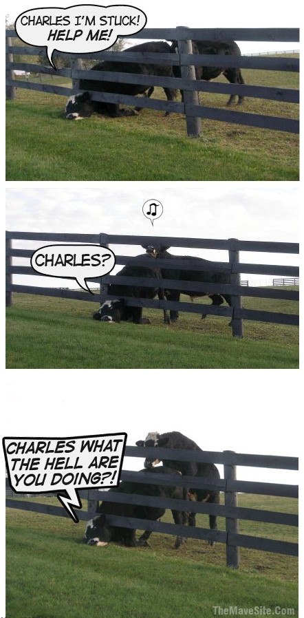 Charles.jpg