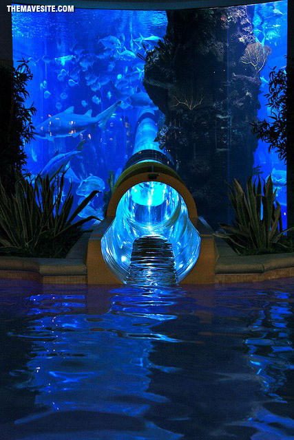 WaterSlideThroughSharkTankInVegas.jpg
