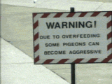 DontIgnoreTheWarningSign.gif