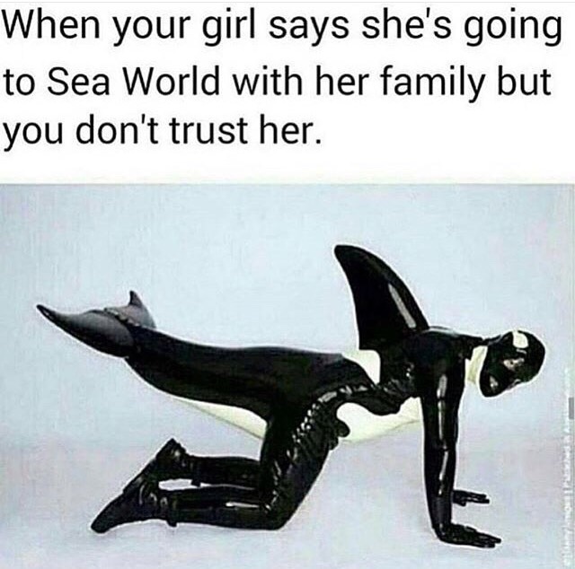 zAN4jYO.jpg