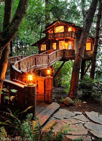 Treehouse.jpg