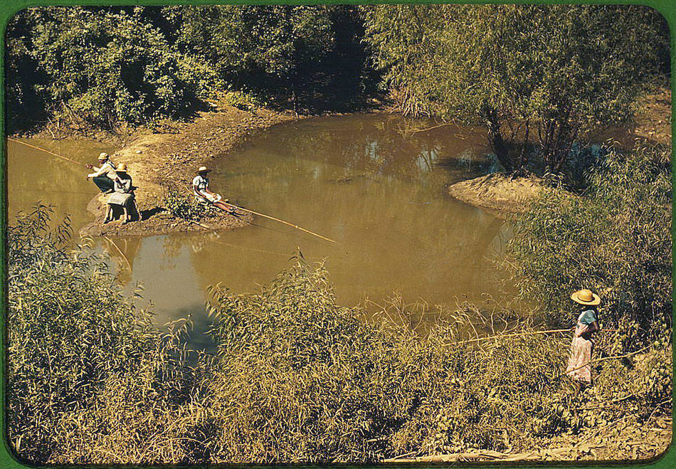 color035.jpg