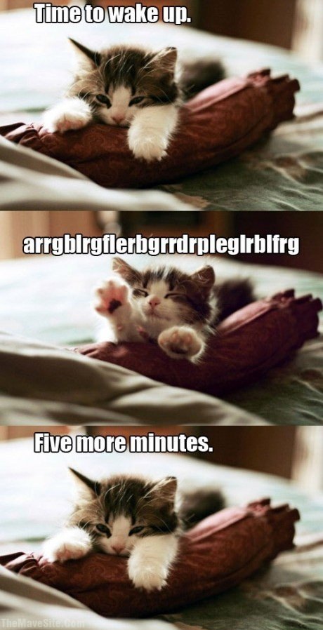 TimeToWakeUp.jpg