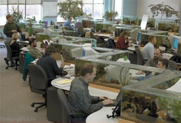 OfficeAquarium.jpg