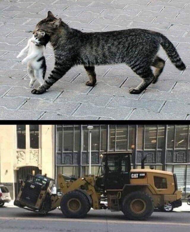 uxHROjH.jpg