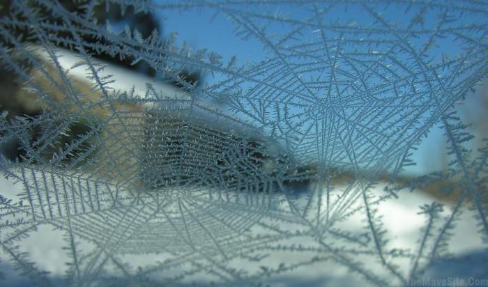 FrozenSpiderWeb.jpg