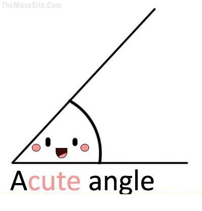 ACuteAngle.jpg