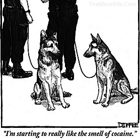 DrugDog.jpg
