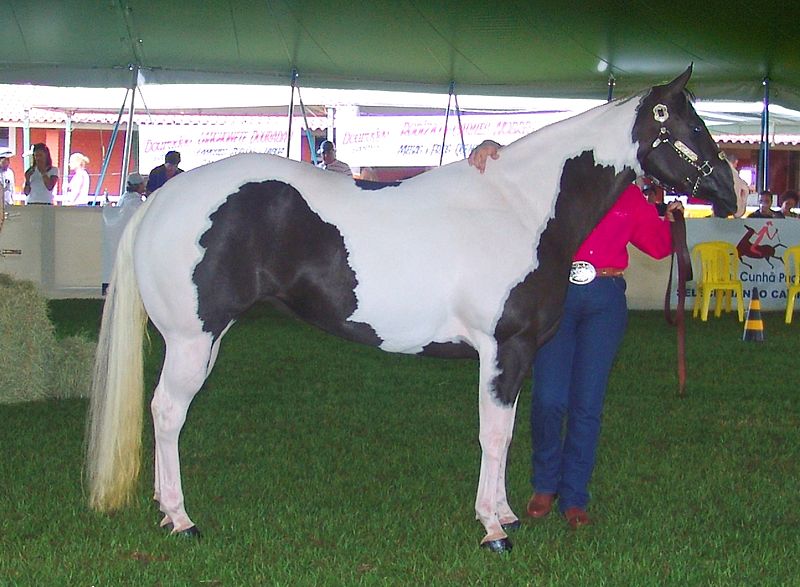 BB65Kj7.jpg